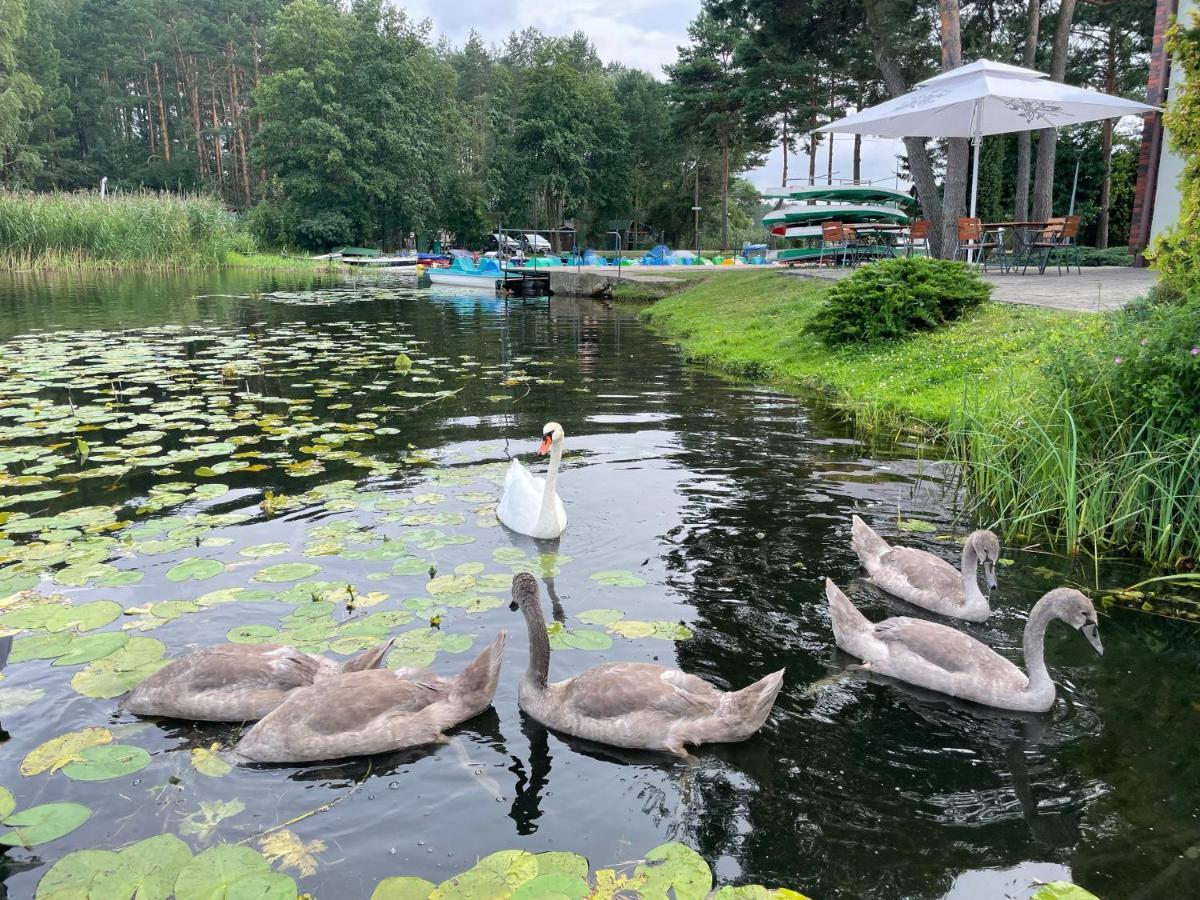 Osrodek Wypoczynkowy "Julia" W Samociazku Hotel Samociazek Luaran gambar