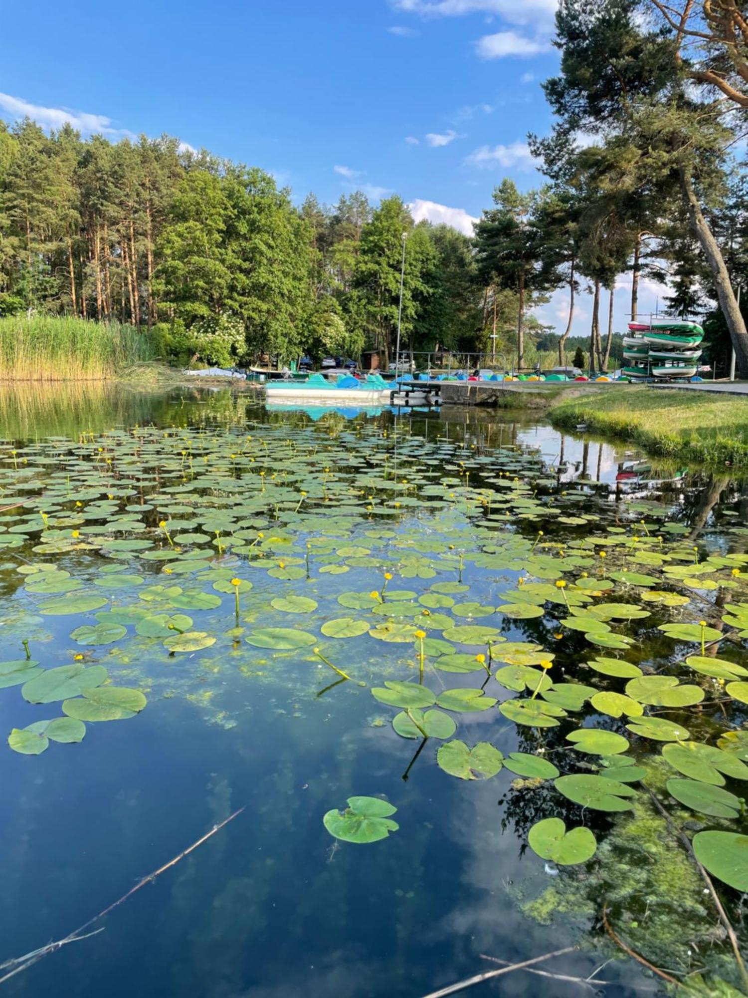 Osrodek Wypoczynkowy "Julia" W Samociazku Hotel Samociazek Luaran gambar